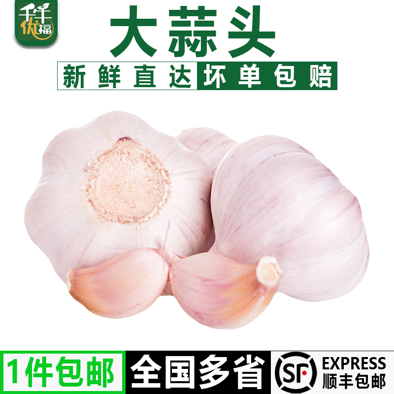 千牛优福新鲜大蒜头干蒜批发顺丰