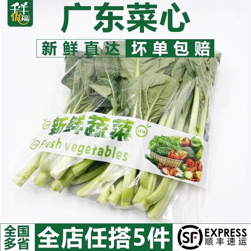 千牛优福广东菜心农家当季蔬菜
