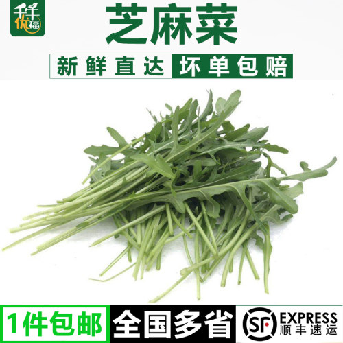 蔬菜西餐新鲜蔬菜千牛优福芝麻菜