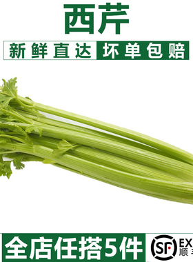 【千牛优福】西芹1000g 新鲜蔬菜大芹菜洋芹菜 西餐配菜 榨汁蔬菜