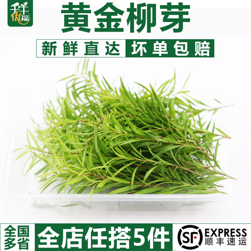黄金西餐配菜烘焙日料摆盘装饰