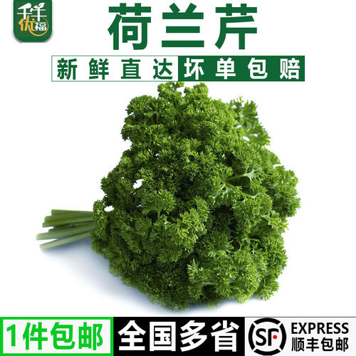 【千牛优福】荷兰芹新鲜摆盘装饰