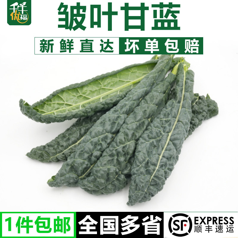 新鲜皱叶甘蓝1-5斤 皱叶菜黑宝石羽衣甘蓝皱皮叶甘蓝沙拉蔬菜,水产肉类/新鲜蔬果/熟食,叶菜类,淘宝优惠券,粉丝福利购,淘宝优惠卷