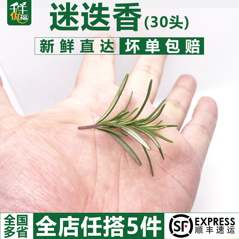 新鲜迷迭香芽1盒可食用烧烤烘焙西餐煎牛排摆盘装饰点缀鲜花草叶,水产肉类/新鲜蔬果/熟食,叶菜类,淘宝优惠券,粉丝福利购,淘宝优惠卷