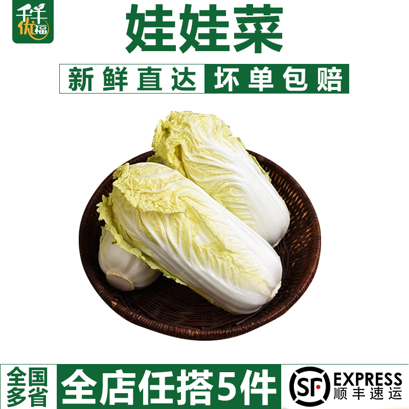 千牛优福娃娃菜500g新鲜火锅烧烤