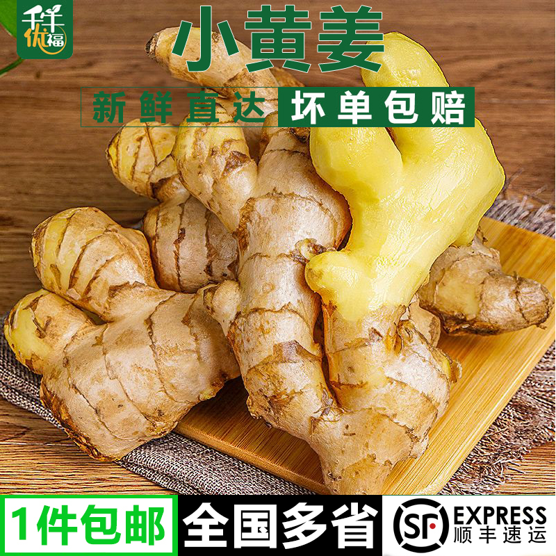 云南小黄姜250g-5斤新鲜老姜