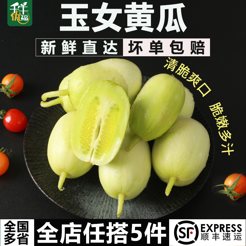 玉女黄瓜顺丰包邮新鲜直达