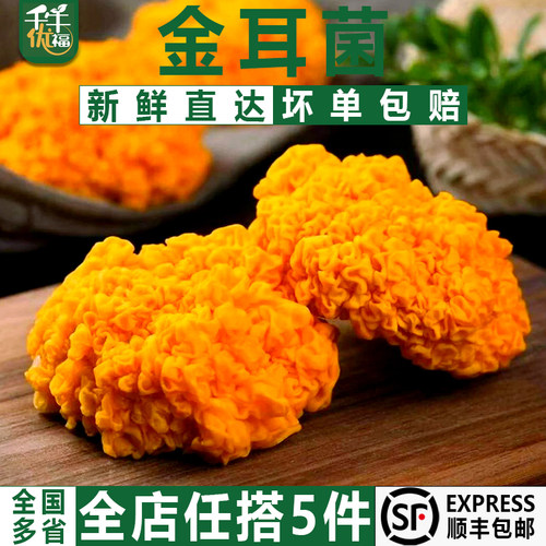 新鲜金耳菌刺身火锅煲汤三吃
