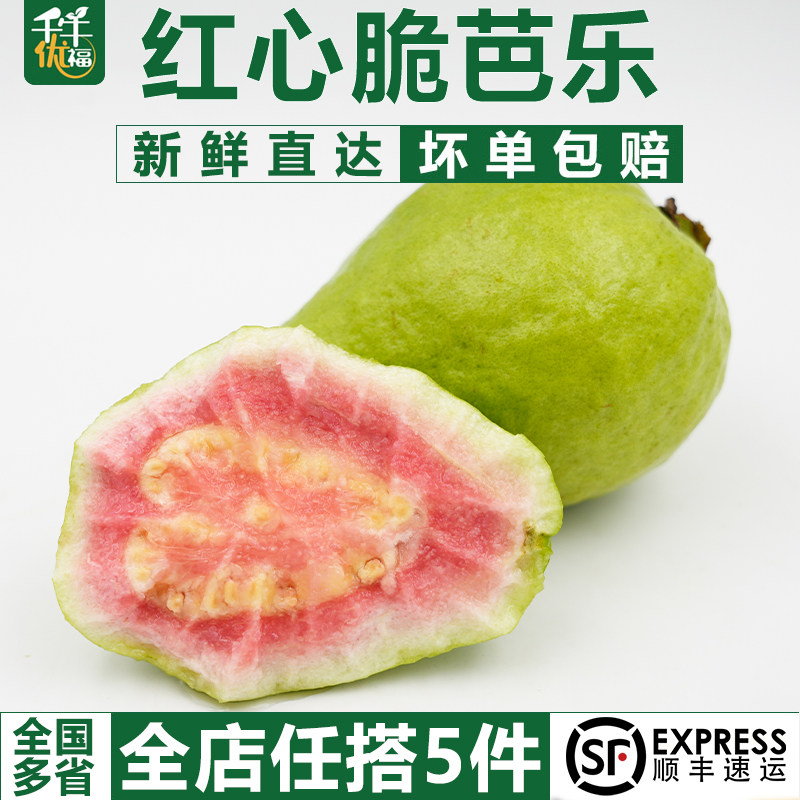 西瓜红脆芭乐番石榴新鲜榨汁搭配健身水果捞红心芭乐 5件顺丰包邮,水产肉类/新鲜蔬果/熟食,番石榴/芭乐,淘宝优惠券,粉丝福利购,淘宝优惠卷