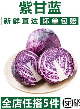 【千牛优福】紫甘蓝650g紫包菜紫色球生菜红紫椰菜新鲜沙拉食材