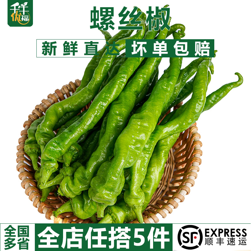 特辣新鲜蔬菜薄皮肉厚超辣