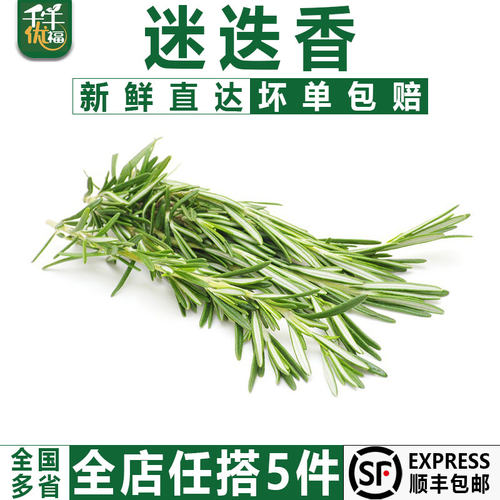 新鲜迷迭香250g西餐煎牛排