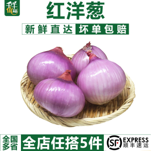 生吃紫皮圆葱头蔬菜新鲜农家自种 红洋葱500g 包邮 千牛优福