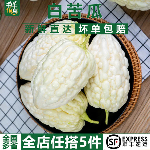 山东白玉苦瓜新鲜苹果苦瓜