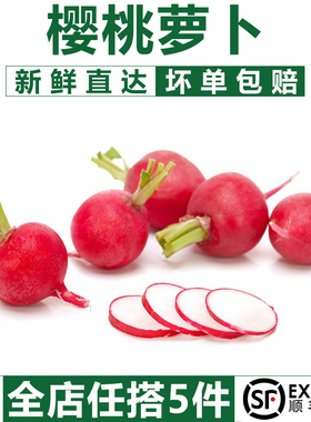 【千牛优福】樱桃萝卜500g 迷你小红萝卜 菜新鲜蔬菜小圆萝卜