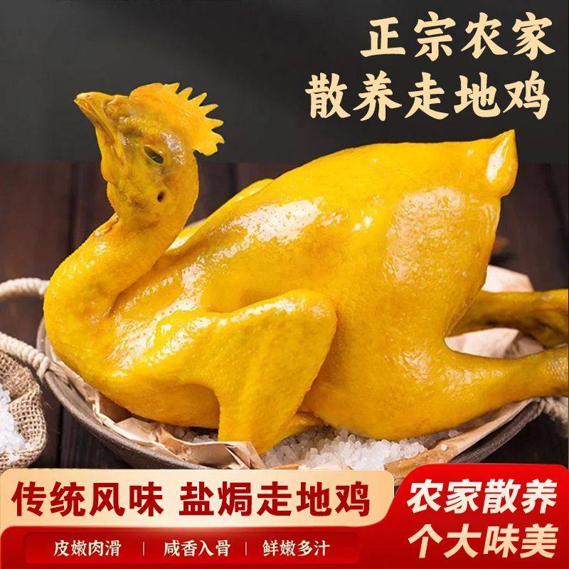 买1只送1只】整只盐焗鸡700g广式三黄鸡解馋下饭鸡肉熟食真空包装
