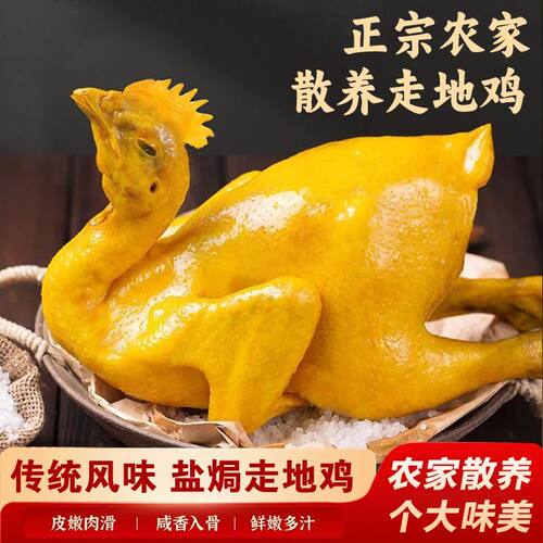 买1只送1只】整只盐焗鸡700g广式三黄鸡解馋下饭鸡肉熟食真空包装