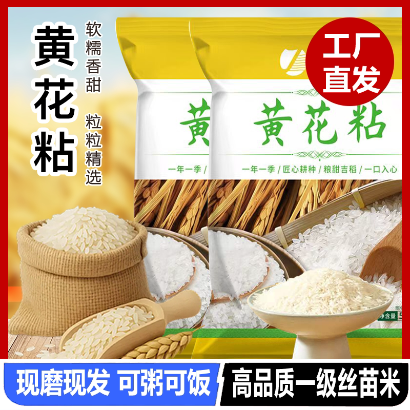 当季新米黄花粘大米猫牙米晚稻灿米丝苗米象牙米农家自种大米炒饭