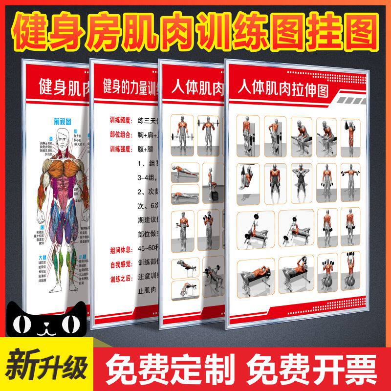 训练安排指导方式器械操作步骤杠铃前平举耸肩提杠铃颈后下拉单臂哑铃