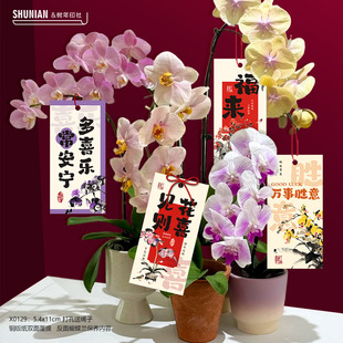 国风蝴蝶兰养护卡蕙兰吊牌盆栽保养卡纸新年贺卡高级感年宵花挂件