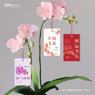 蝴蝶兰吊牌定制兰花温馨提示卡片设计印刷鸿运当头祝福养护说明卡