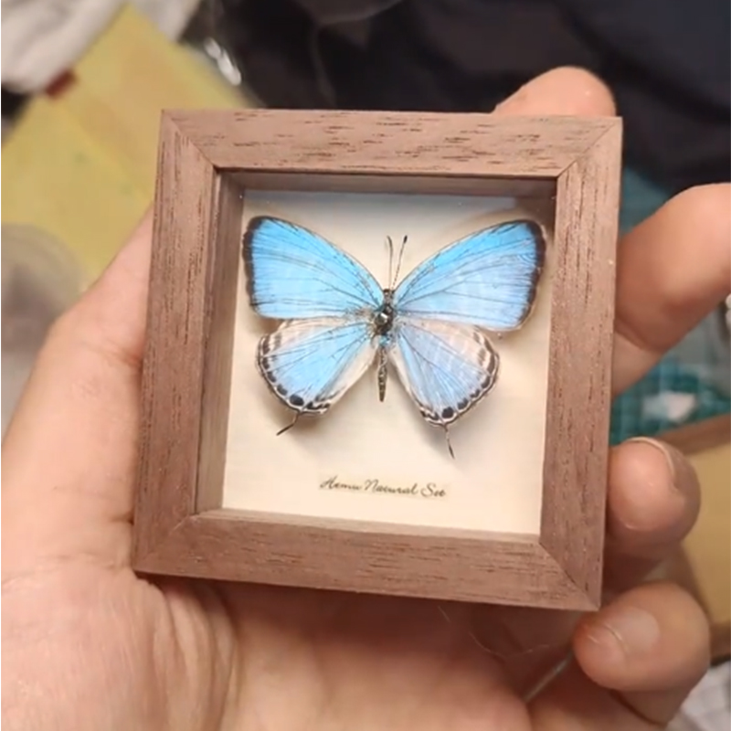 黑胡桃木榫卯结构小摆台