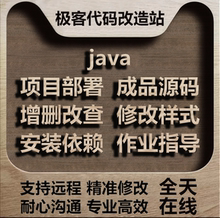 java代码调试编写springboot项目部署远程安装管理系统vue网站