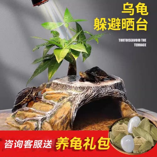 鱼缸乌龟晒台高水位窝别墅