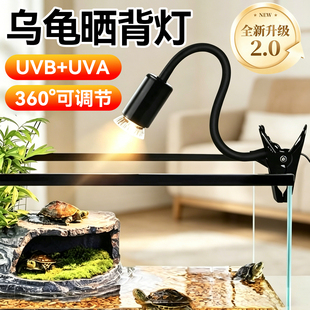 乌龟晒背灯全光谱太阳灯uvauvb二合一龟缸定时爬宠专用补钙保温灯