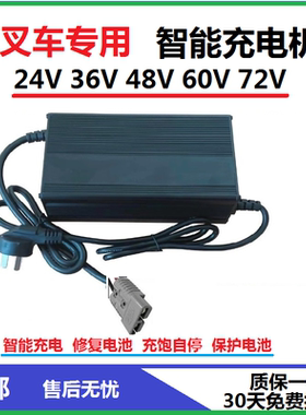 专用电动叉车充电机充电器24V36V48V60V72V巡逻观光车扫地机洗地