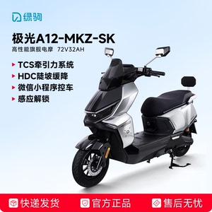 绿驹极光A1272V32AH长续航电摩