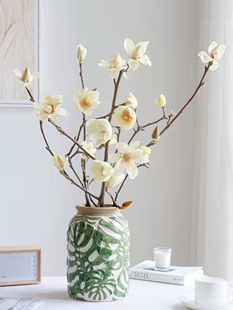 玉兰花鲜切白玉兰鲜切鲜花花期长家用超长花期鲜花水培水养广玉兰