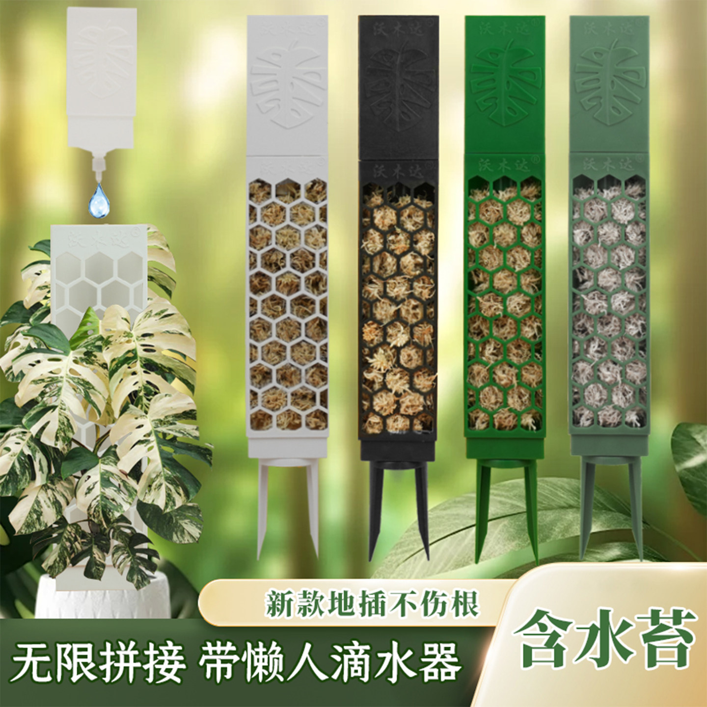 沃木达水苔柱龟背竹爬藤墙植物固定热植附生植物攀爬柱水台柱爬藤