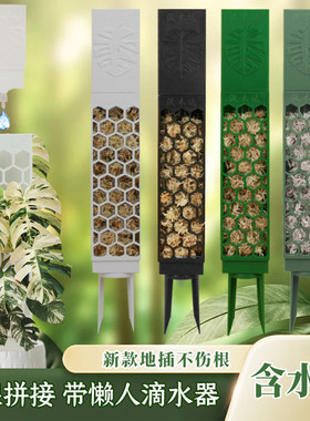 龟背竹热植通用水苔柱懒人攀爬架