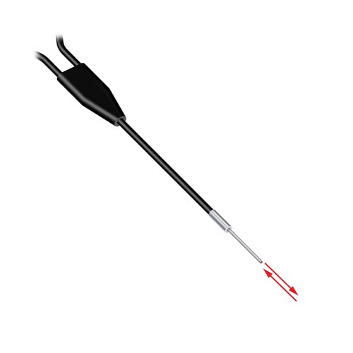 BMP.753P | BMP384 | BMRL4816A