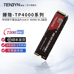 机2T笔记本512G TP4100 SSD TP3000固态硬盘1T台式 腾隐TP4000Pro