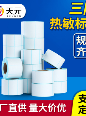 天元空白热敏打印标签100mm宽条码不干胶快递防水物流单E邮宝面单