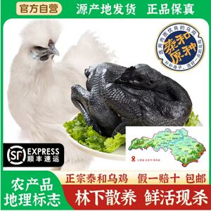 正宗原种泰和乌鸡林下散养整只鸡新鲜现抓现发正宗土鸡老母鸡炖汤