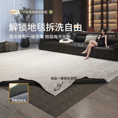 AOVOC 可拆洗客厅地毯现代简约沙发茶几轻奢新款可机洗卧室床边毯