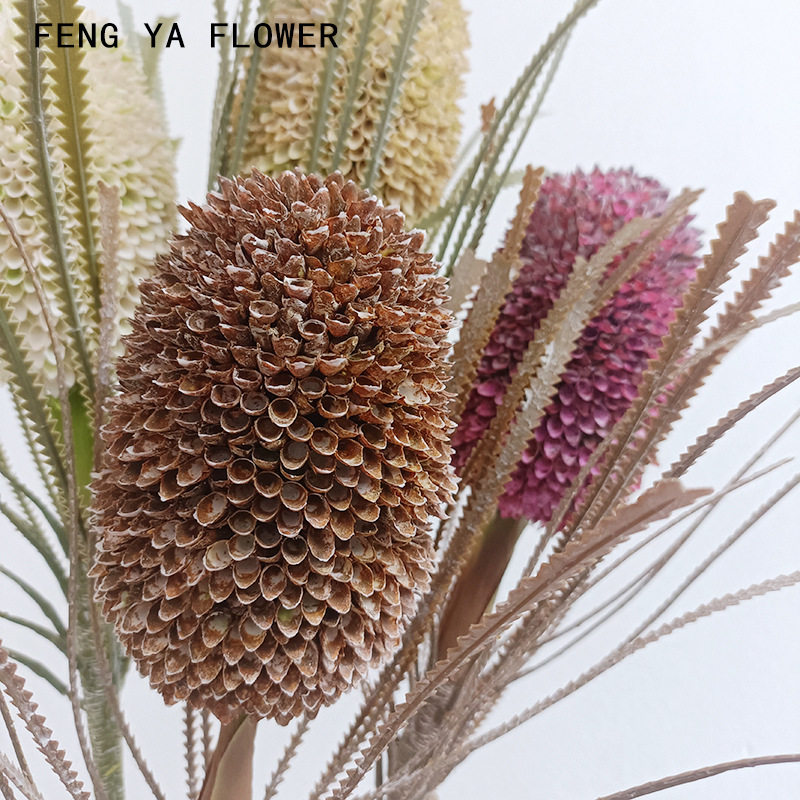 仿真植物苏铁班克木花绿
