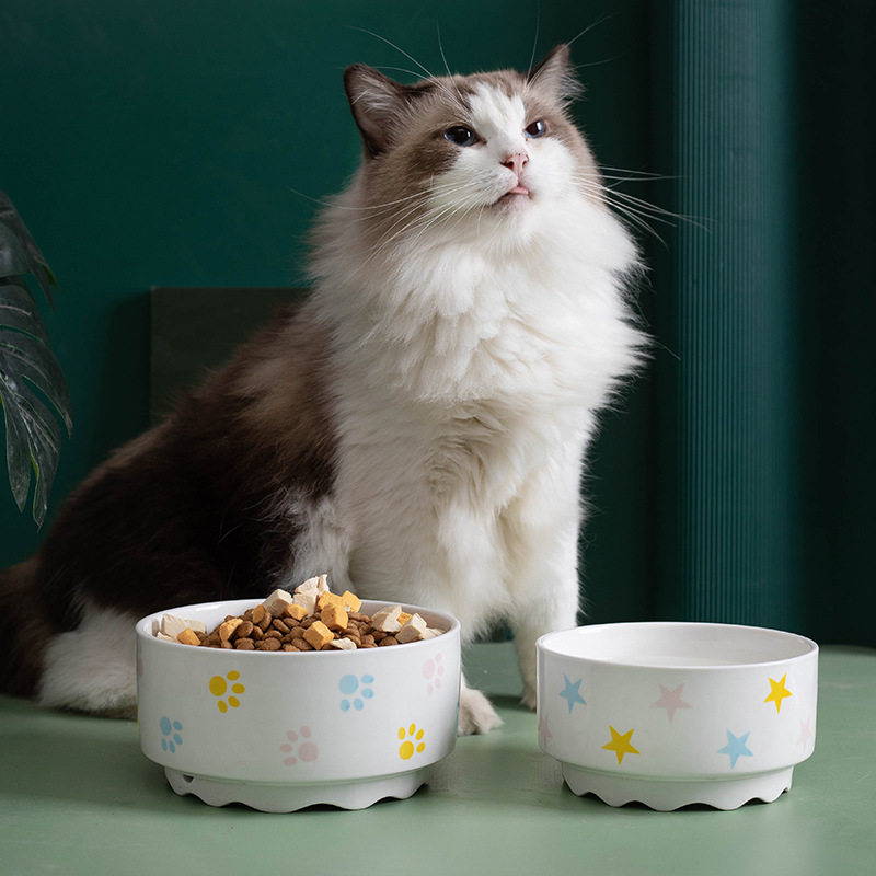 恒温猫咪饮水机宠物狗狗自动加热猫用陶瓷水碗喝水器猫碗猫猫酸奶