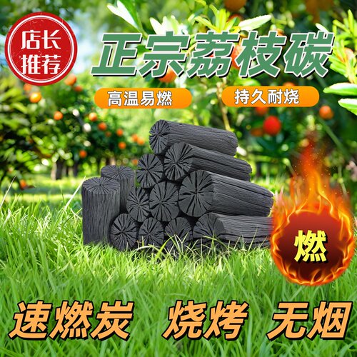 木炭烧烤炉家用无烟炭荔枝木铜火锅炉子专用正宗果木高温耐烧