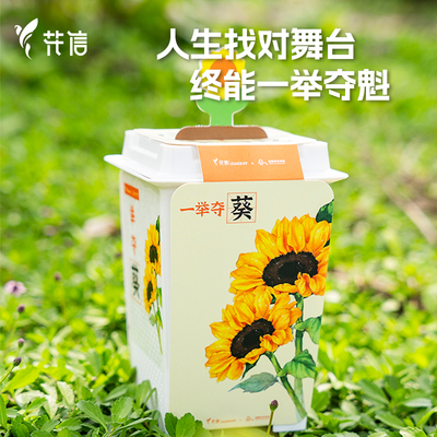 一举夺魁高考毕业礼物中考金榜提名花信向日葵种植套装一举夺葵