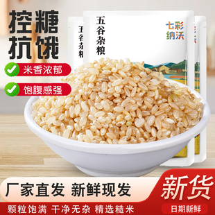 糙米新米粗粮三色五色七色糙米饭五谷杂粮健身新鲜代餐尝鲜