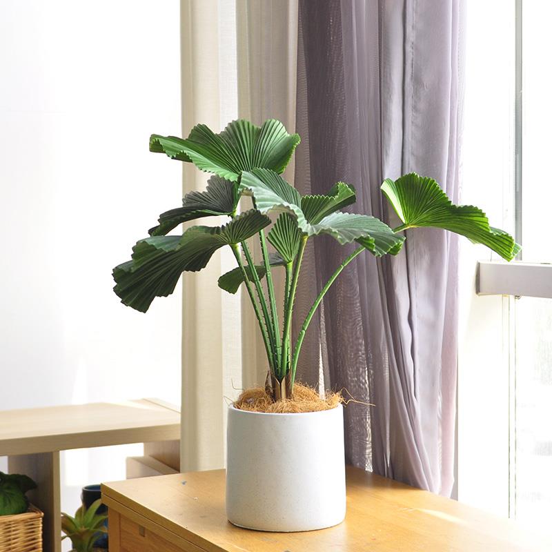 北欧仿真植物摆件室内家居办公室装饰绿植叶子蕨叶盆栽盆景art435