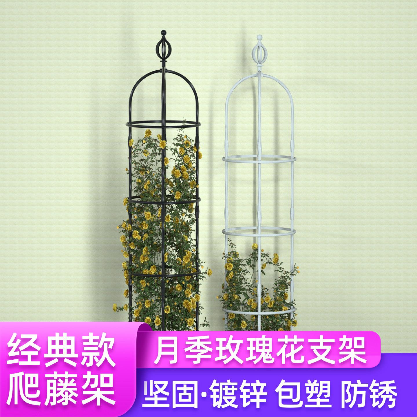 灯笼装饰头月季花架爬藤架铁线莲蔷薇玫瑰盆栽植物花卉藤蔓花支架