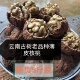 云南纸皮核桃2025新货薄皮核桃仁干果薄壳生坚果5斤新鲜零食特产