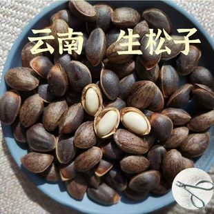 云南生松子散装大颗粒2025新鲜新货孕妇手剥非东北开口松树籽松仁