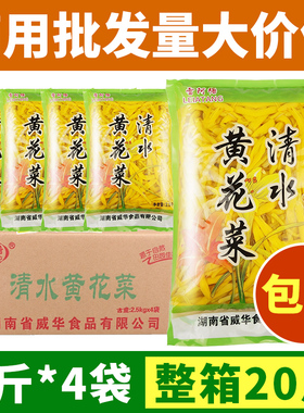 清水黄花菜商用新鲜凉拌菜盐水金针菜蕨菜火锅串串麻辣烫食材整箱