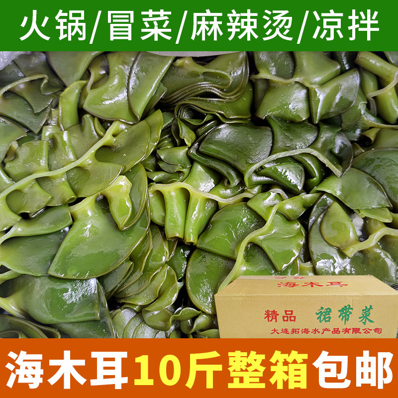 10斤装盐渍海木耳新鲜海白菜海灵芝海藻嫩芽菜耳朵火锅凉拌麻辣烫
